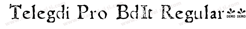 Telegdi Pro BdIt Regular字体转换